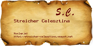 Streicher Celesztina névjegykártya